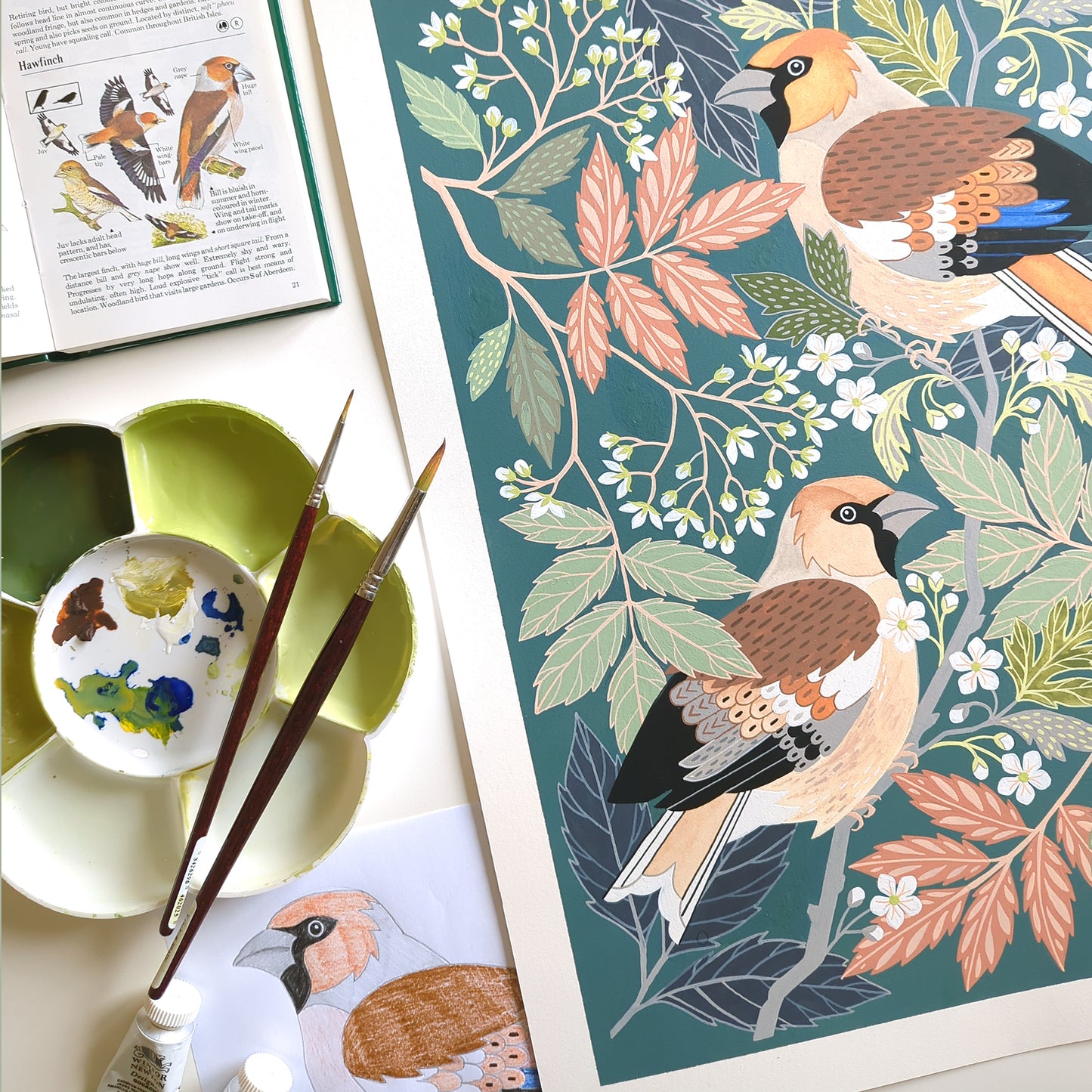 NEW Hawfinch Art Print