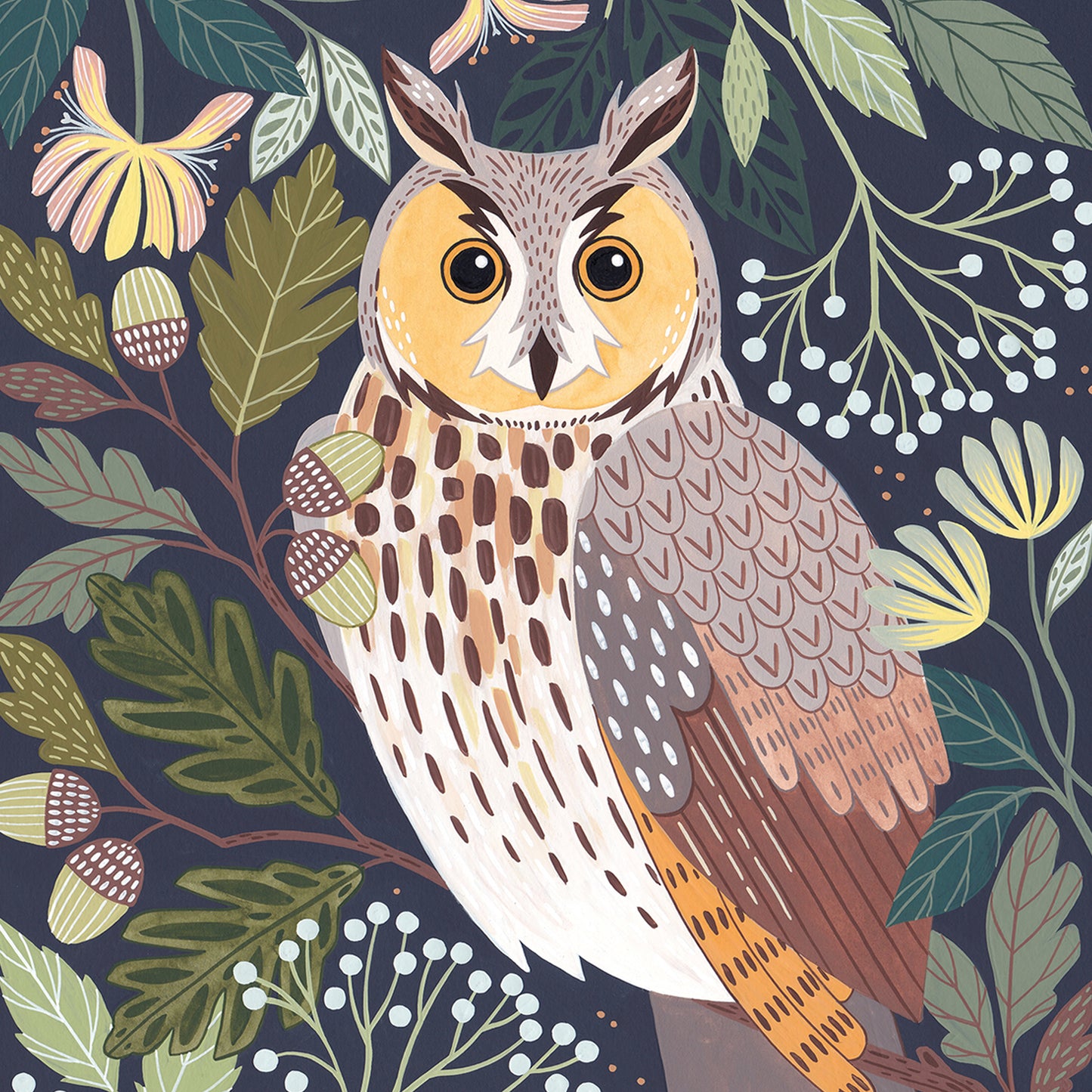 Long-eared Owl Gouache Painting