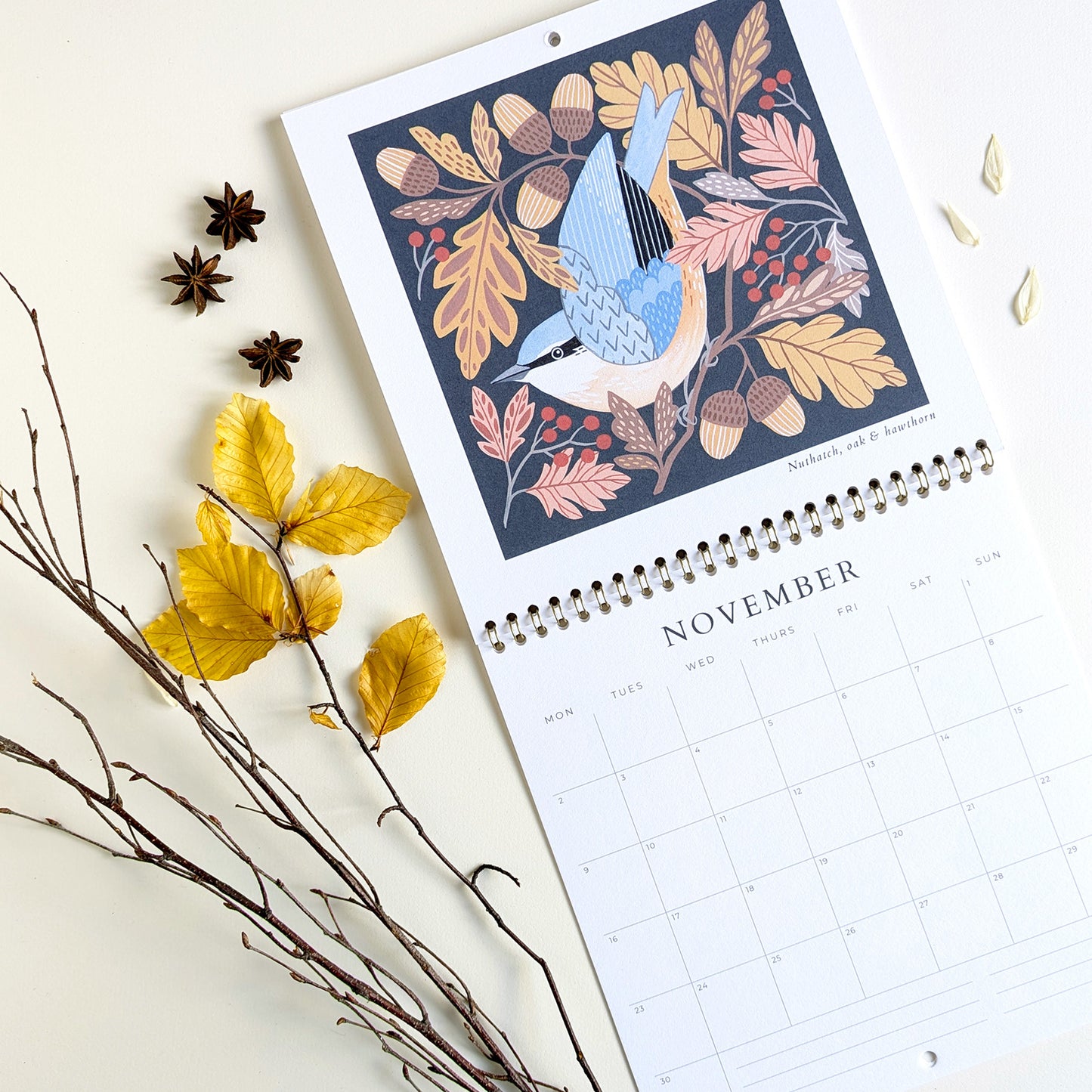 2026 Wall Calendar | Birds & Botanicals