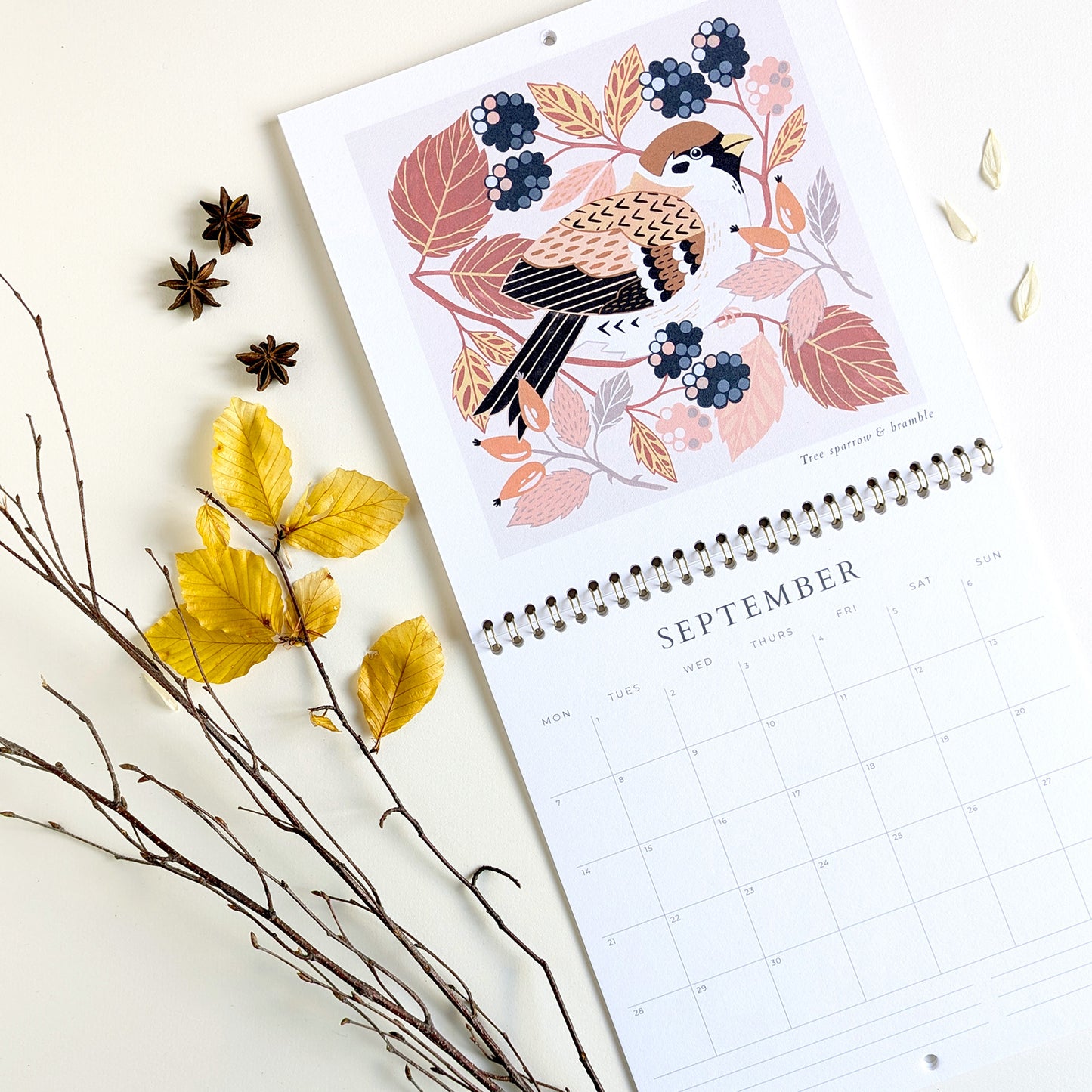 2026 Wall Calendar | Birds & Botanicals