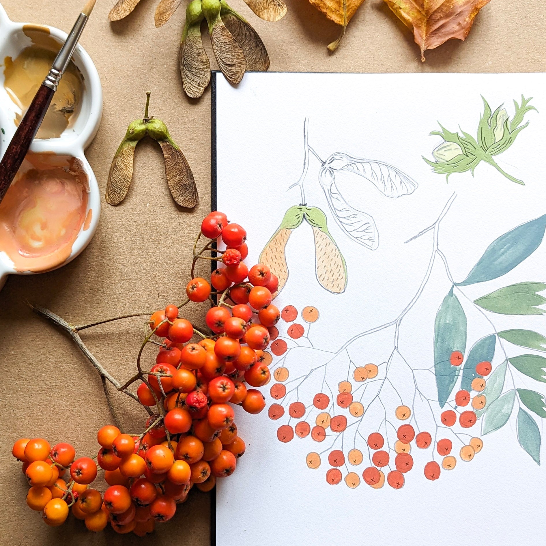 A sketchbook with painted rowan berries and green leaves on white paper, styled in a flat lay with rowan berries, paint palettes, a paintbrush, and fall leaves on a brown background.