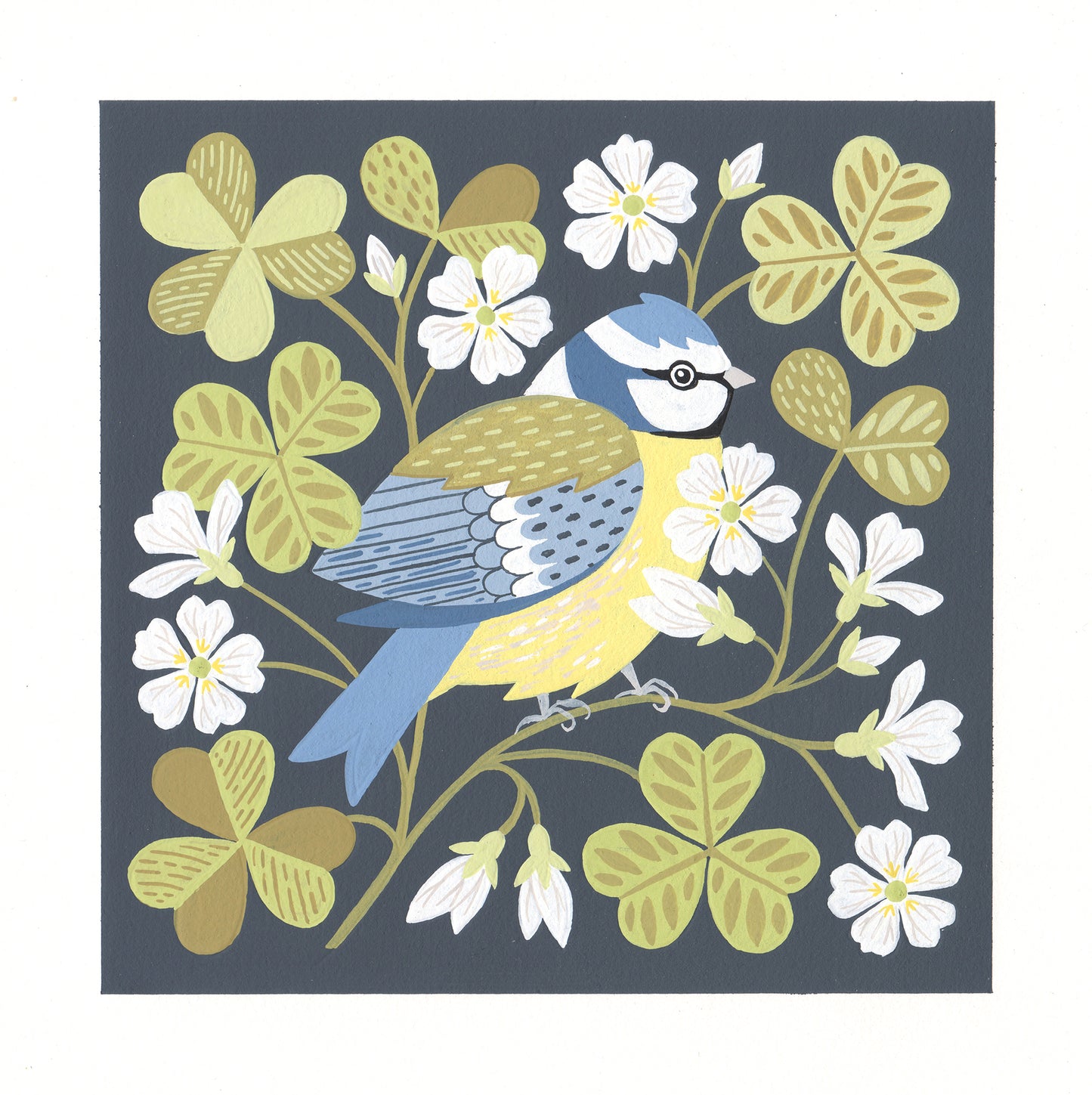 Forest Finds Original Painting: Blue Tit & Wood Sorrel