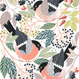 Bullfinch Art Print