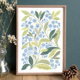 Botanical Artwork of Forget Me Not