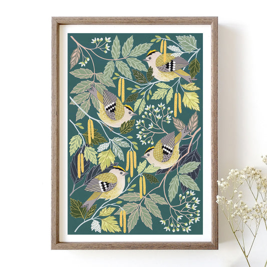 NEW Goldcrest Art Print