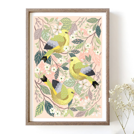 Greenfinch Art Print