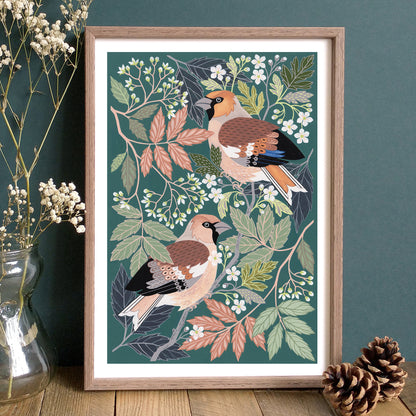 NEW Hawfinch Art Print
