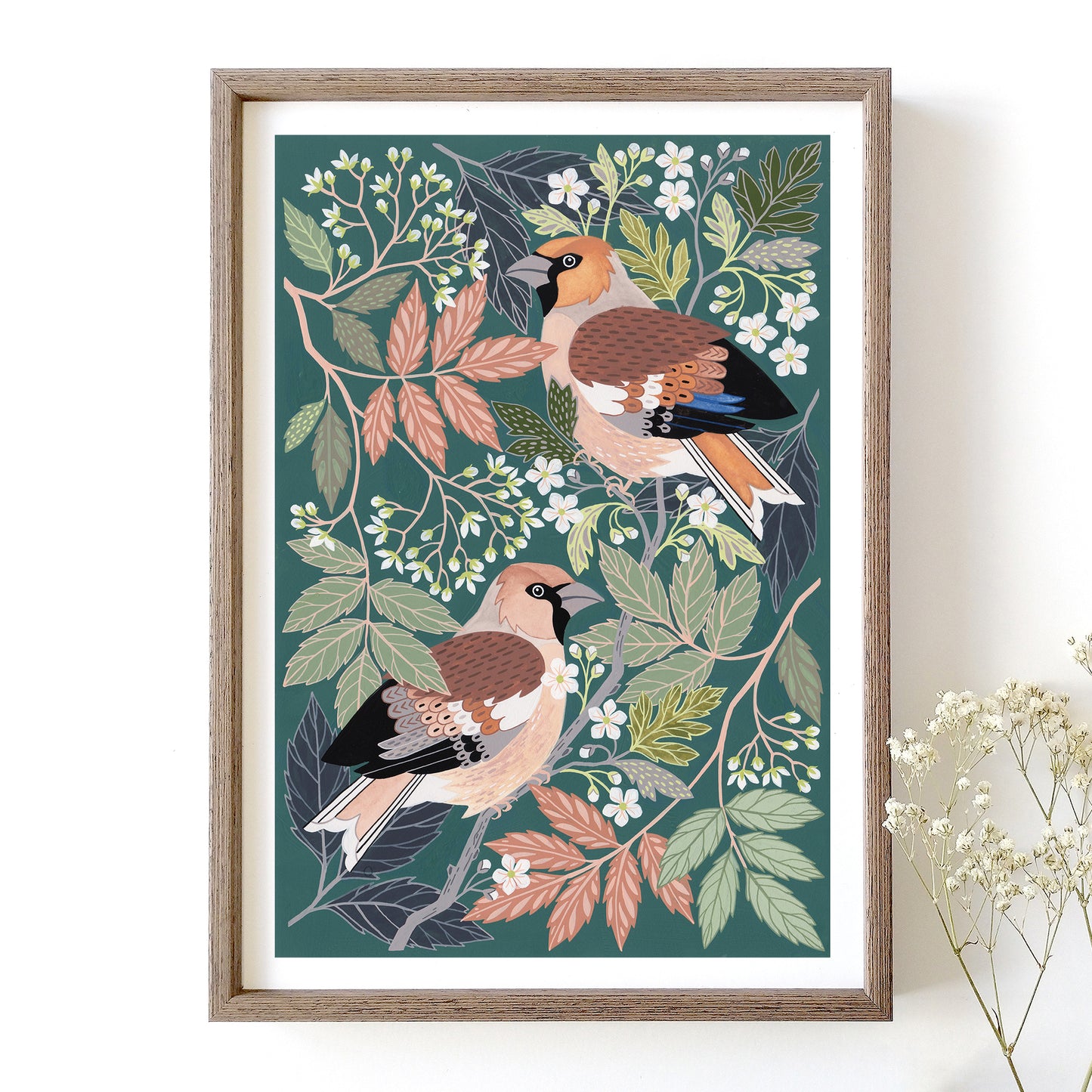 NEW Hawfinch Art Print