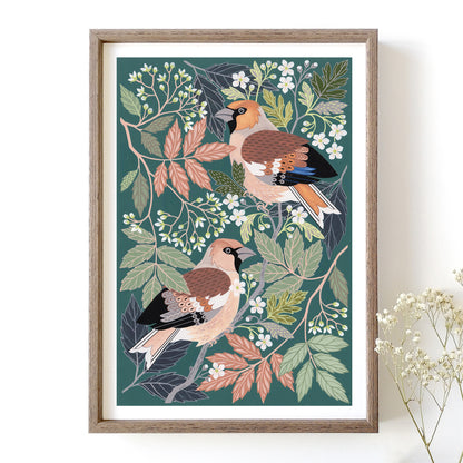 NEW Hawfinch Art Print