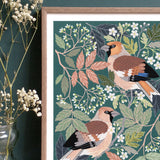 Hawfinch Art Print