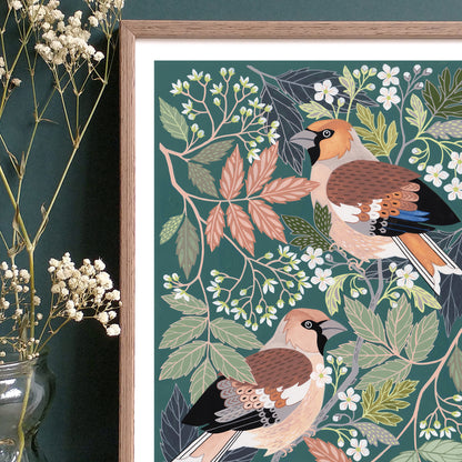 NEW Hawfinch Art Print
