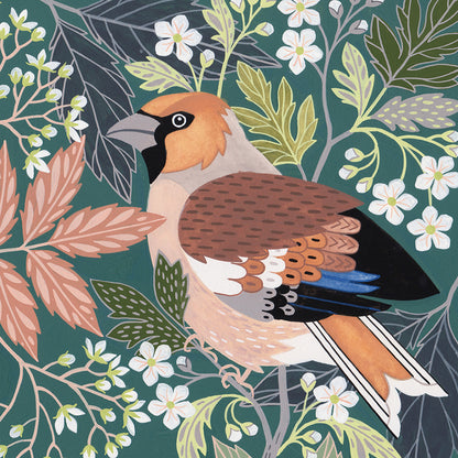 NEW Hawfinch Art Print