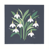 A botanical art print featuring white snowdrops with green leaves on a dark navy blue square background, surrounded by a white border.