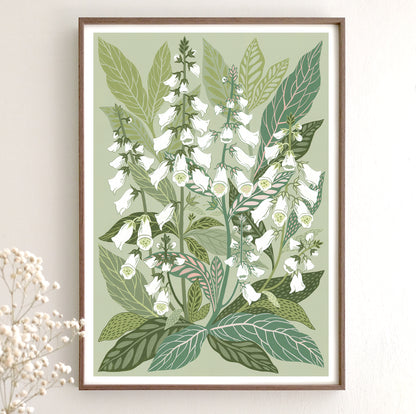 White Foxglove Art Print