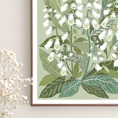 White Foxglove Art Print