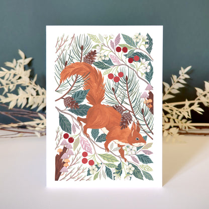 Red Squirrel Greetings Card