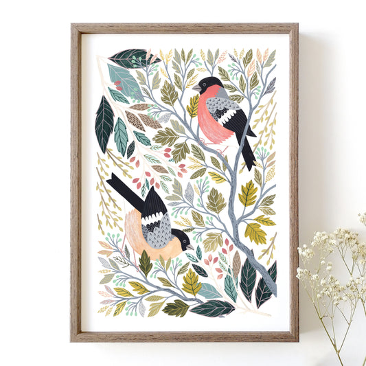 Bullfinch Art Print