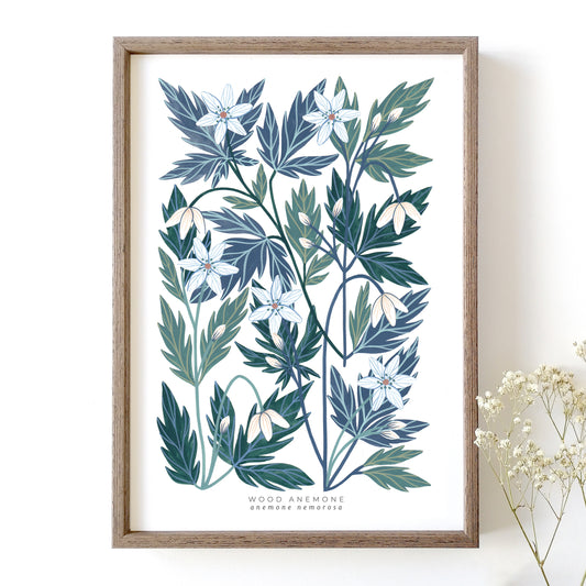 Wood Anemone Art Print
